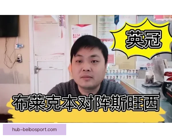 斯旺西最新动态：球队阵容调整与赛季目标全面解析